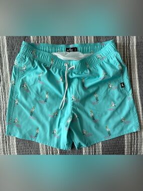 Hollister Men's Teal Pelican Pattern Swim Trunks